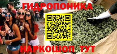 сатива Ставрополь