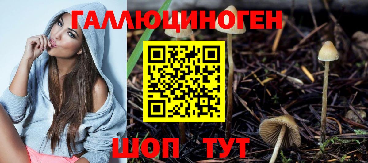 Псилоцибиновые грибы мицелий  Вход с VPN  Псилоцибиновые грибы Psilocybe  Белорецк 