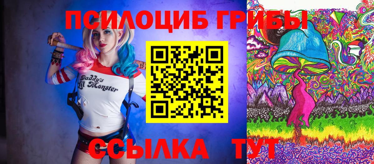 Псилоцибиновые грибы прущие грибы Белорецк